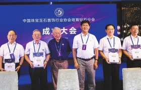 中宝协培育钻石分会成立