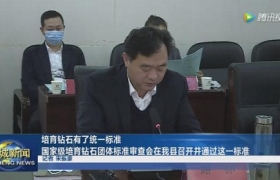 《培育钻石》团体标准审查会在柘城召开