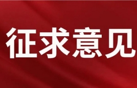 行业重磅！国标计划修改“合成钻石”名称，公开征求意见