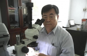 苑执中：40年后培育钻石将超越并取代天然钻石