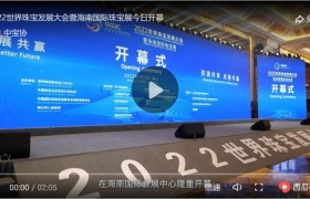 【视频】2022世界珠宝发展大会暨海南国际珠宝展今日开幕
