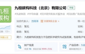 王思聪投资成立九桓碳构科技公司 或将涉足培育钻石