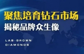 聚焦培育钻石市场，揭秘品牌众生像