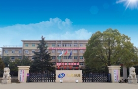 中南钻石的振兴之路