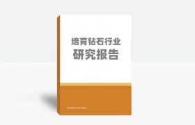 培育钻石行业研究：渗透率低，原石龙头成长空间大