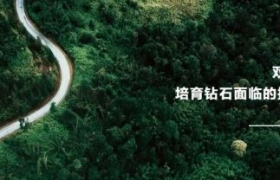 双碳背景下 培育钻石面临的挑战与机遇