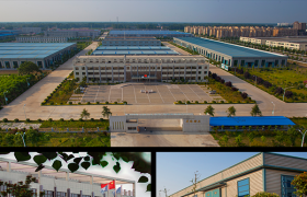 厚德钻石庞爱红：让乡亲们实现凭技能就业