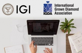 IGDA合作IGI为成员提供培育钻石课程学习