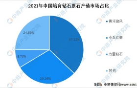 2022年中国培育钻石行业上市龙头企业市场竞争格局分析