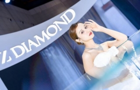 征世科技Z Diamond 首发臻作惊艳进博会