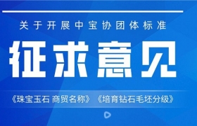 关于开展中宝协团体标准征求意见的通知