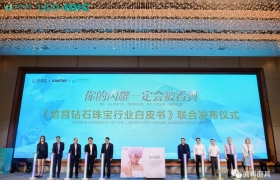 “新世代，倍闪耀—第二届（2023年）中国国际培育钻石产业发展与创新大会”在广州盛大开幕