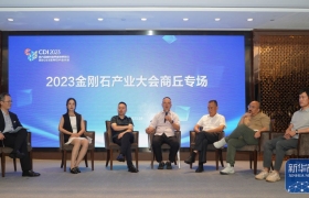 知名专家学者共话人造金刚石行业发展