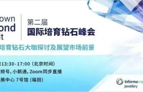 第二届国际培育钻石峰会 再绽光芒