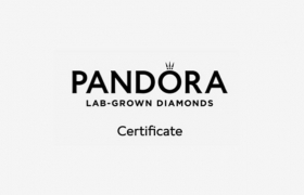 Pandora Brilliance 闪耀潘多拉