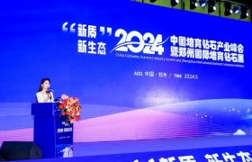 中国培育钻石产业迈向新高度——2024中国培育钻石产业峰会盛大开幕
