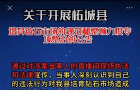 关于开展柘城县培育钻石市场的规范和整顿力度专项整治的公告