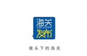 海关发布：一旅客内裤拉链口袋内用透明塑料袋封装的合成钻石5包，共计128.29克