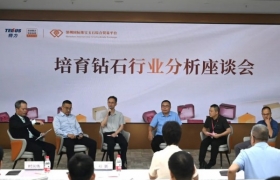 引领培育钻石行业新航向 | 全球金刚石采购大会（深圳）顺利举办