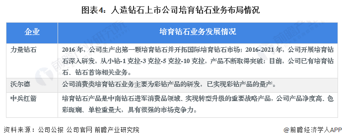 图表4：人造钻石上市公司培育钻石业务布局情况