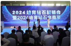 共赴钻界盛宴！2024培育钻石展销会暨电商节在郑州开幕