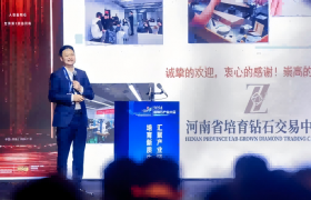 佘丁顺谈培育钻石：河南潜能巨大，需多元化发展加速迈入快车道
