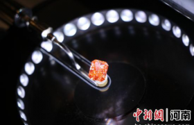 创新技术助推河南培育钻石闪耀海外