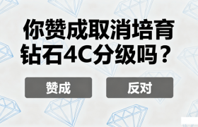 你赞成取消培育钻石4C分级吗？