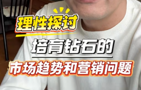 理性探讨：培育钻石的市场趋势和营销问题