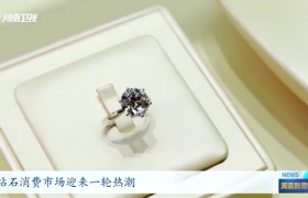 河南：一颗钻石打磨出一条产业链丨践行“两高四着力”