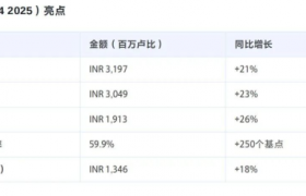 IGI 印度2025年业绩全面向好，培育钻石成增长核心引擎