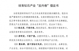 培育钻石产业“反内卷”倡议书